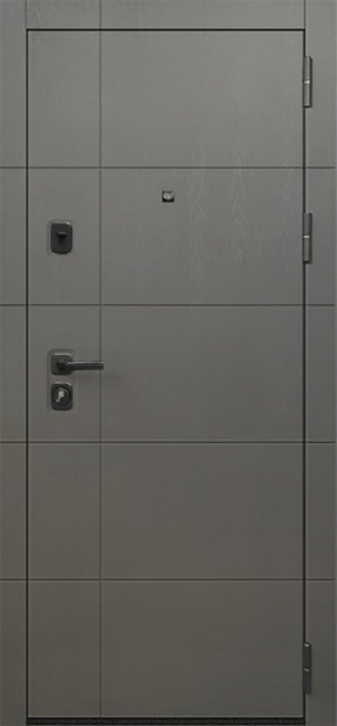 Входная дверь Oiko Acoustic Grafika-2 Grafit Wood/Grafika Софт серый - фото