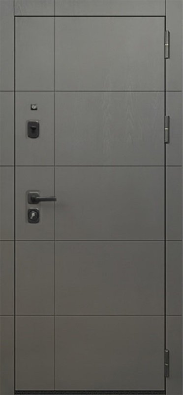 Входная дверь Oiko Acoustic Grafika-2 Grafit Wood/Reflex Софт белый - фото